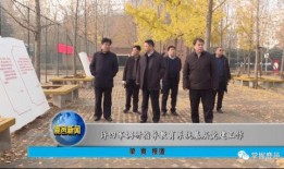 鹿邑最新爆料事件新闻,事件真相再掀波澜，官方调查进展如何？